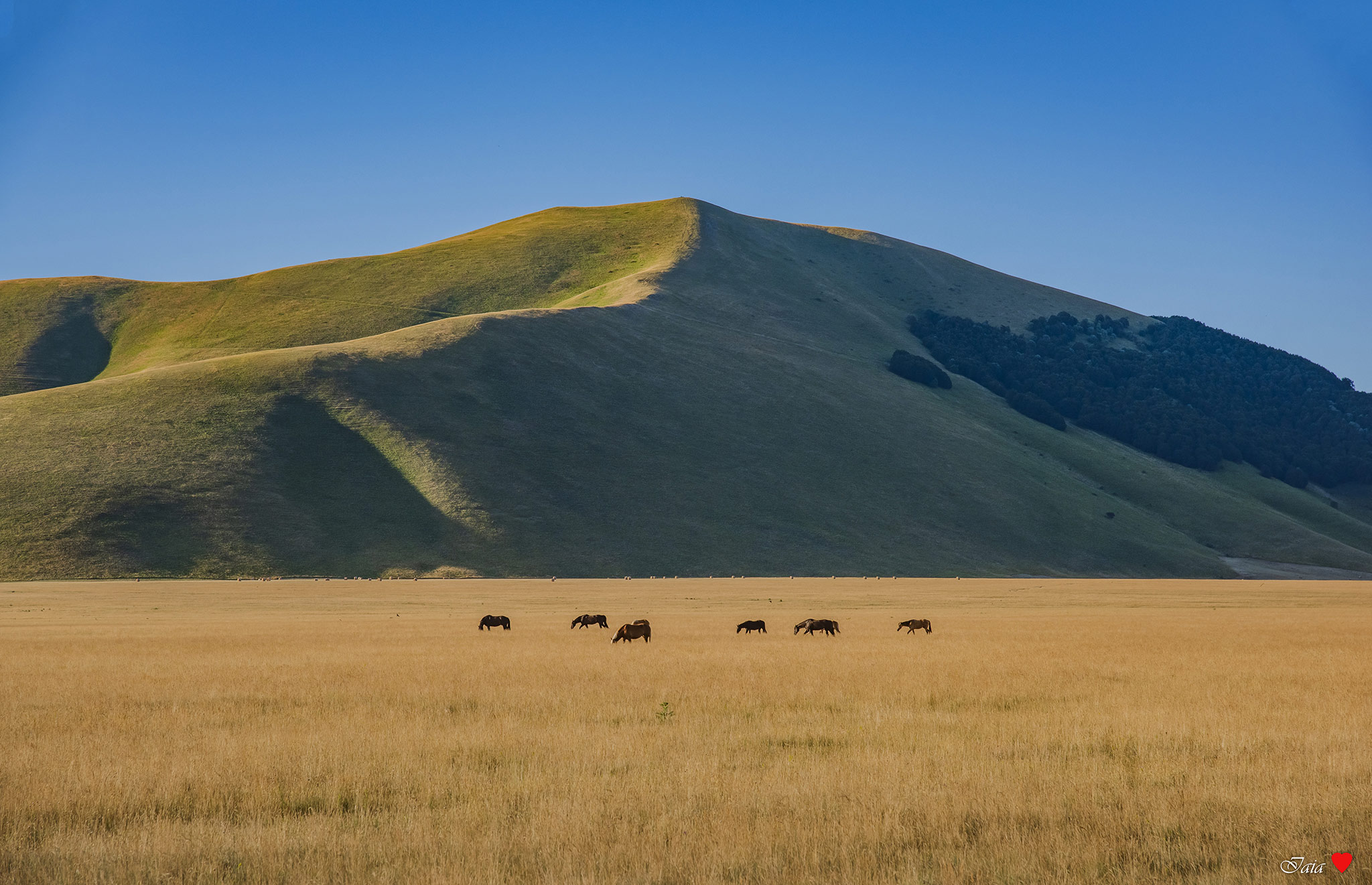 Castelluccio di Norcia